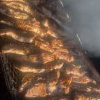 Best Rib Tips - Pork [#Tipmotized] in Louisville, KY